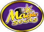 Magic Slots jackpot