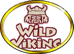Wild Viking Spielautomat jackpot